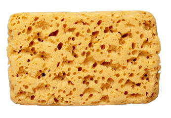 sponge wash beauty bathroom