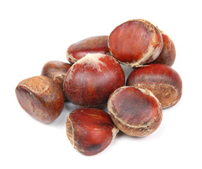 chestnut