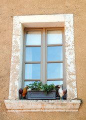 Fototapeta na wymiar flower pot and cock figures at window in Roussillon, Provence