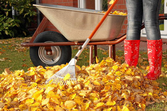 Gartenarbeit