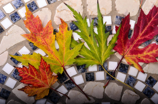 Herbstlaub auf Mosaik aus Marmor und Granit