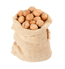 Burlap sack full of whole walnuts isolated on white background