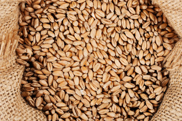 full bag with a grain