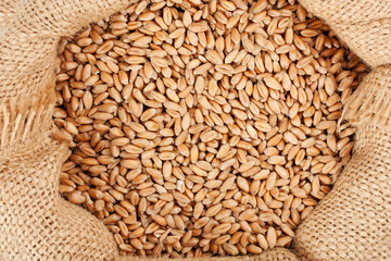 full bag with a grain