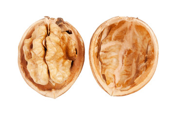 closeup of a walnut