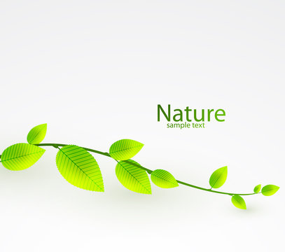Fresh green leaves vector abstract background