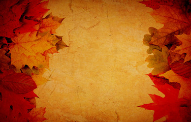 Naklejka na ściany i meble Autumn frame from leaves