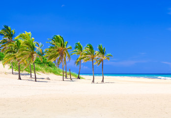 Fototapeta na wymiar Słynna plaża Varadero na Kubie