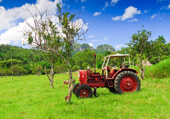 Old red tractor in a green field