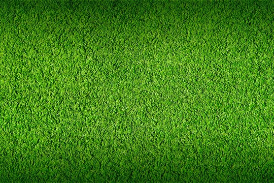 Football grass