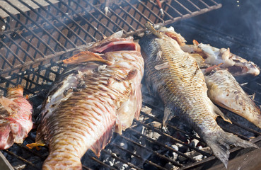 Fish barbecue