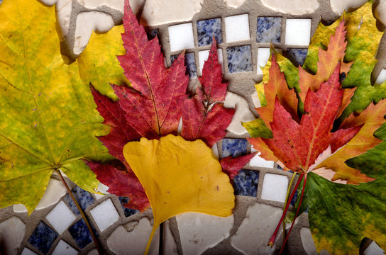 bunte Herbstbl&auml;tter auf Mosaik aus Granit-Quadraten und Marmor