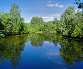 Landscape with trees, reflecting in the water
