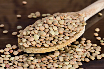 Lenticchie - Lentils - Lens culinaris