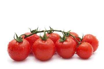 Close-up photo of tomatoes with water drops