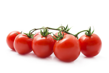 tomatoes