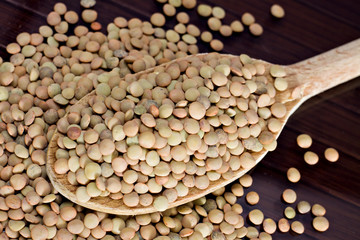 Lenticchie - Lentils - Lens culinaris