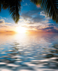 Fototapeta na wymiar Calm Ocean Under Palm