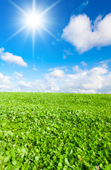 Beauty Clouds Rural Landscape