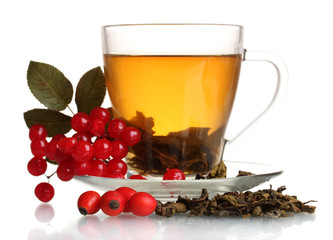 Green tea  with red viburnum and  hips in glass cup