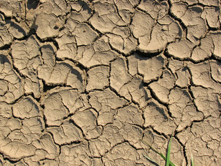 Drought
