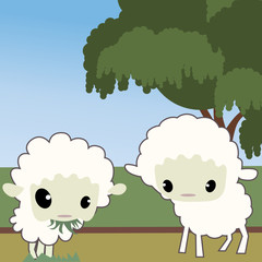 cute sheep