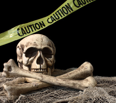 Skeleton on Black Background
