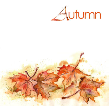 Watercolor -Autumn leaves-