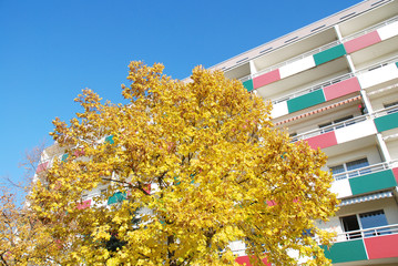 colorful autumn with colorful block of flats