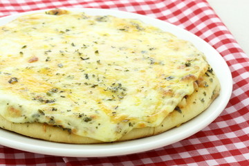 delicious italian cheese pizza