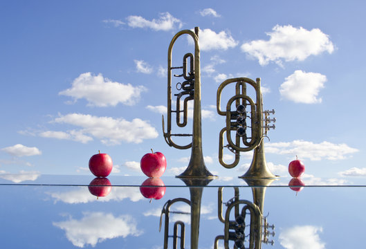 brass instruments on mirror and apples