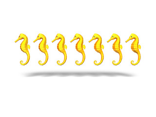 タツノオトシゴ