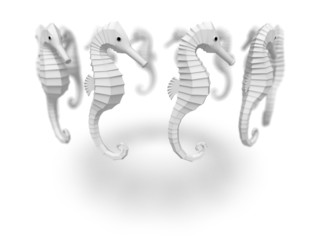 タツノオトシゴ