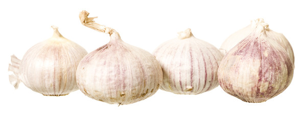 Bunch of Garlic