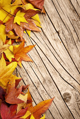 Naklejka na ściany i meble Autumn leaves on wood