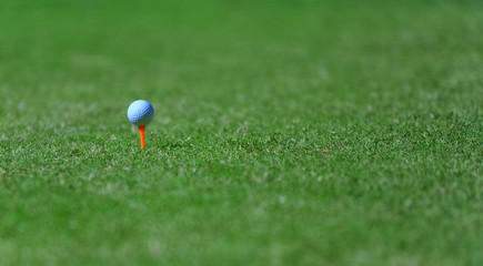 Golf ball on the tee