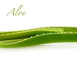 aloe leaf