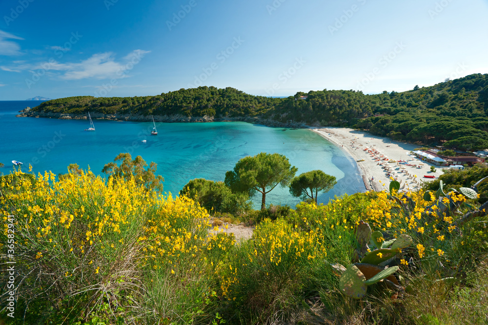 Wall mural fetovaia beach, elba island. italy.