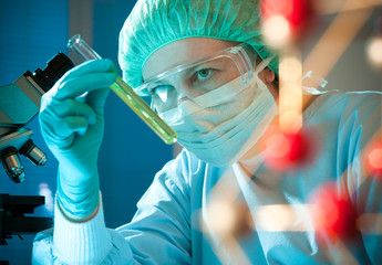 scientist working at the laboratory