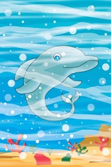 dolphin