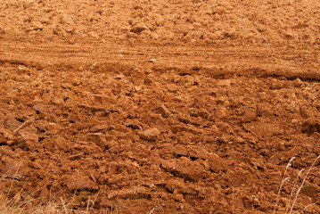Clods of earth fresh plowing