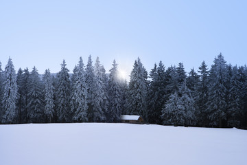 Winterwald mit Hütte