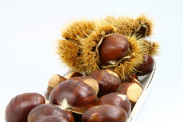 chataîgnes de noêl