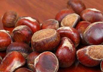 chestnut