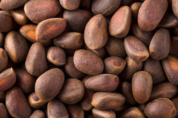 Background of raw fresh pine nuts