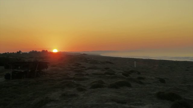 Timlapse of sun rising on beach full of turtles