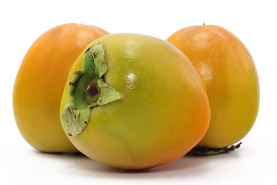 kaki frucht