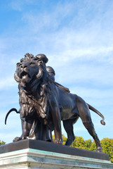 lion statue