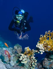 Fotobehang Vrouwelijke duiker die rijke koraaltuinen verkent © frantisek hojdysz