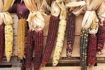 Foto op Plexiglas Colorful Indian Corn © lindahughes